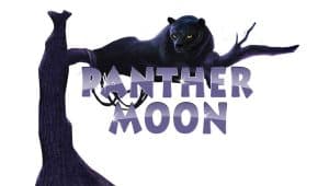 Petualangan Misterius di Hutan Malam Panther Moon